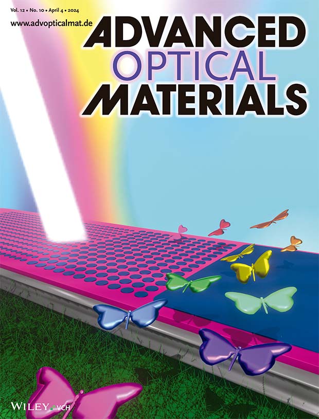 The image of the inside-Front cover of April 2024  (Vol. 12, Issue 10) of de journal Advanced Optical Materials  features the publication of the Laser Procesing Group